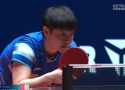开云体育官方网站-奥地利乒乓球队力克韩国乒乓球队，波尔惊艳世界的简单介绍