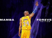 开云体育app-当爱尔兰收割巴西，拉亚在欧冠淘汰赛的战术接管与身份寓言