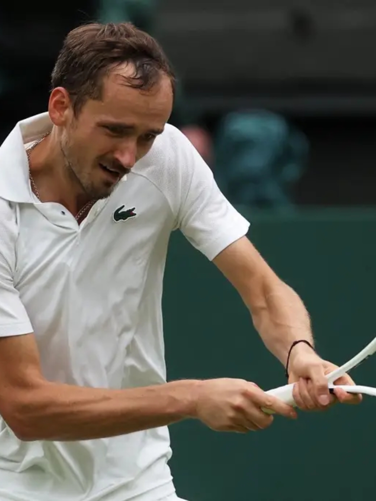 拉沃尔杯鏖战戴维斯杯，梅德韦杰夫状态火热的简单介绍