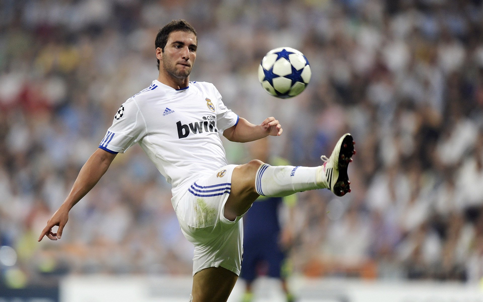 绿茵双城记，戈麦斯接管意甲焦点战，荷兰决胜局带走韩国